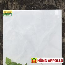 Gạch lát nền phòng khách sang trọng 60X60- Hongappollo